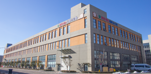 Company profile